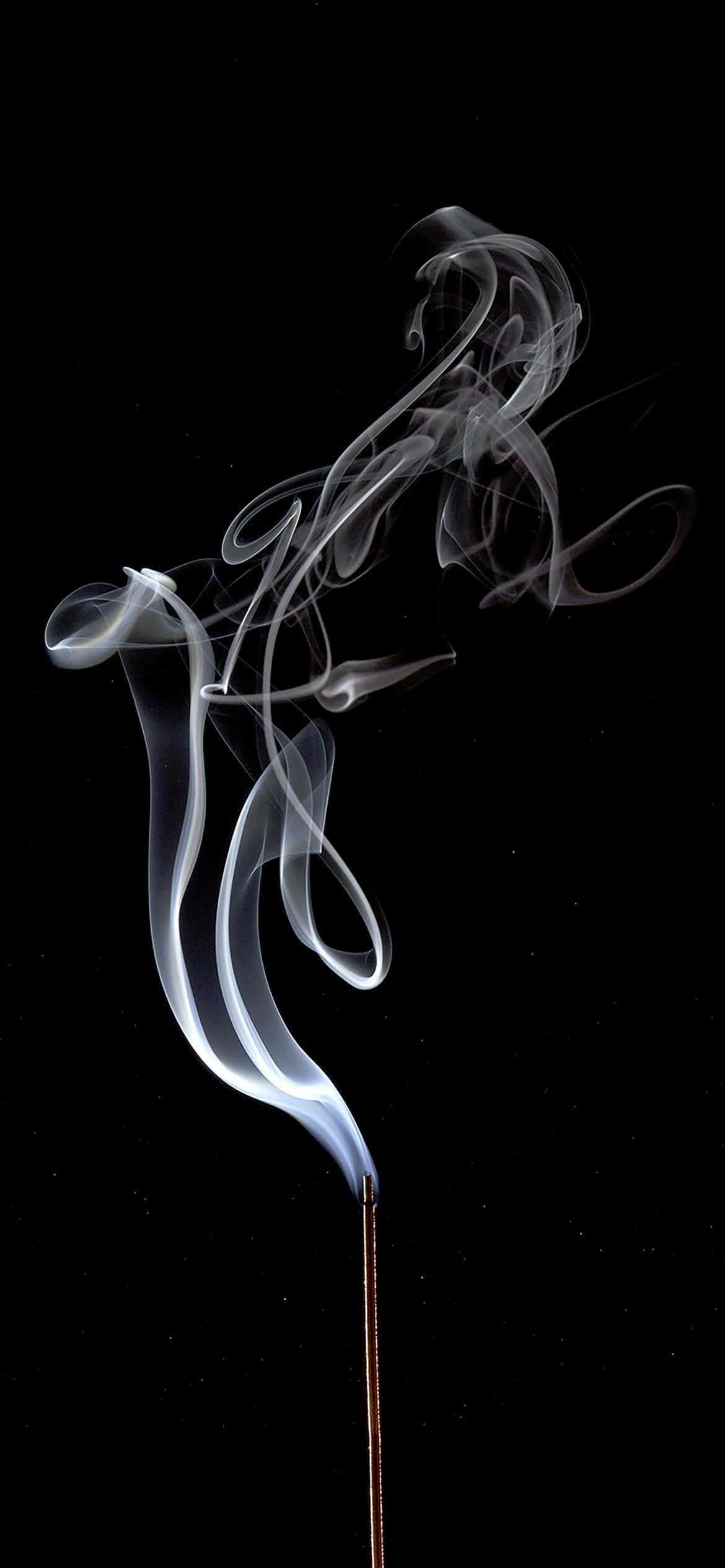 1170x2532 화이트 스모크 크리에이티브 샷 배경화면