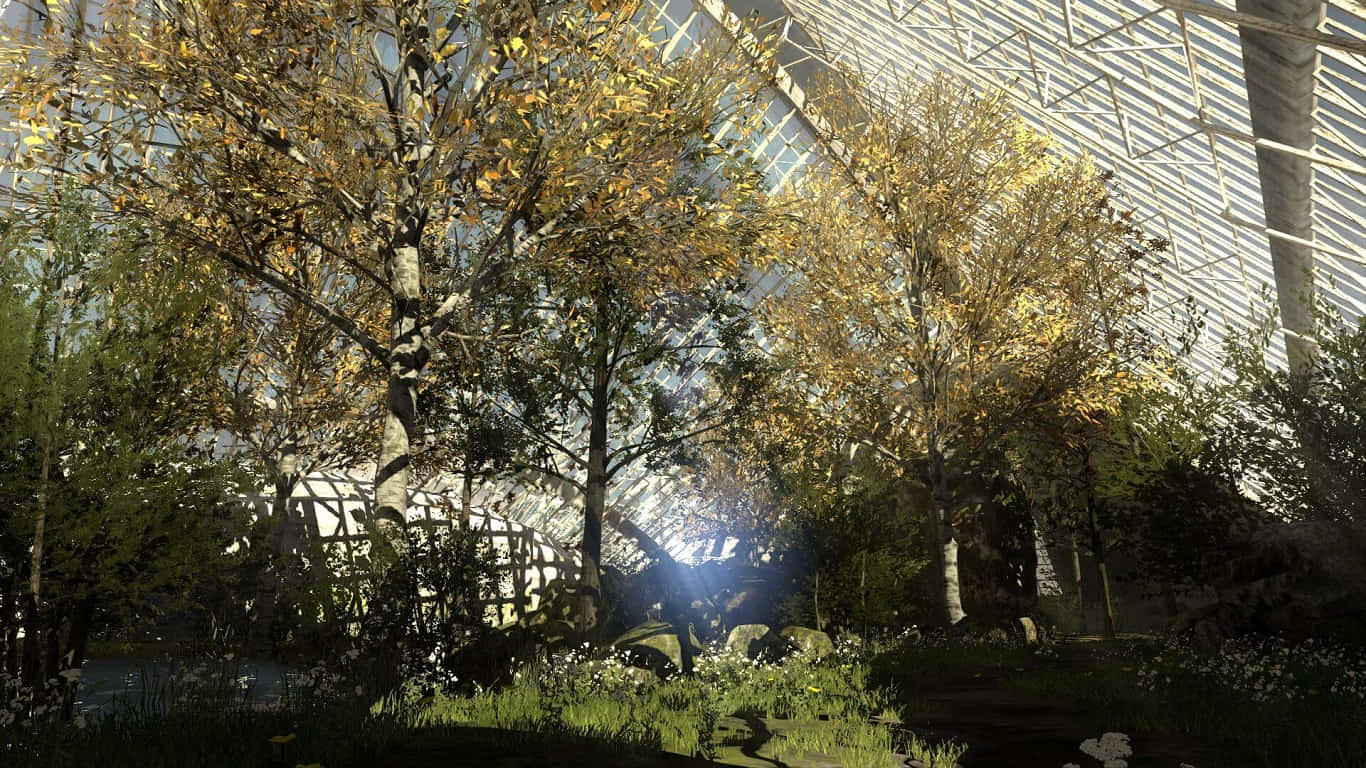 1366x768 The Talos Principle Gehenna 숲 배경화면