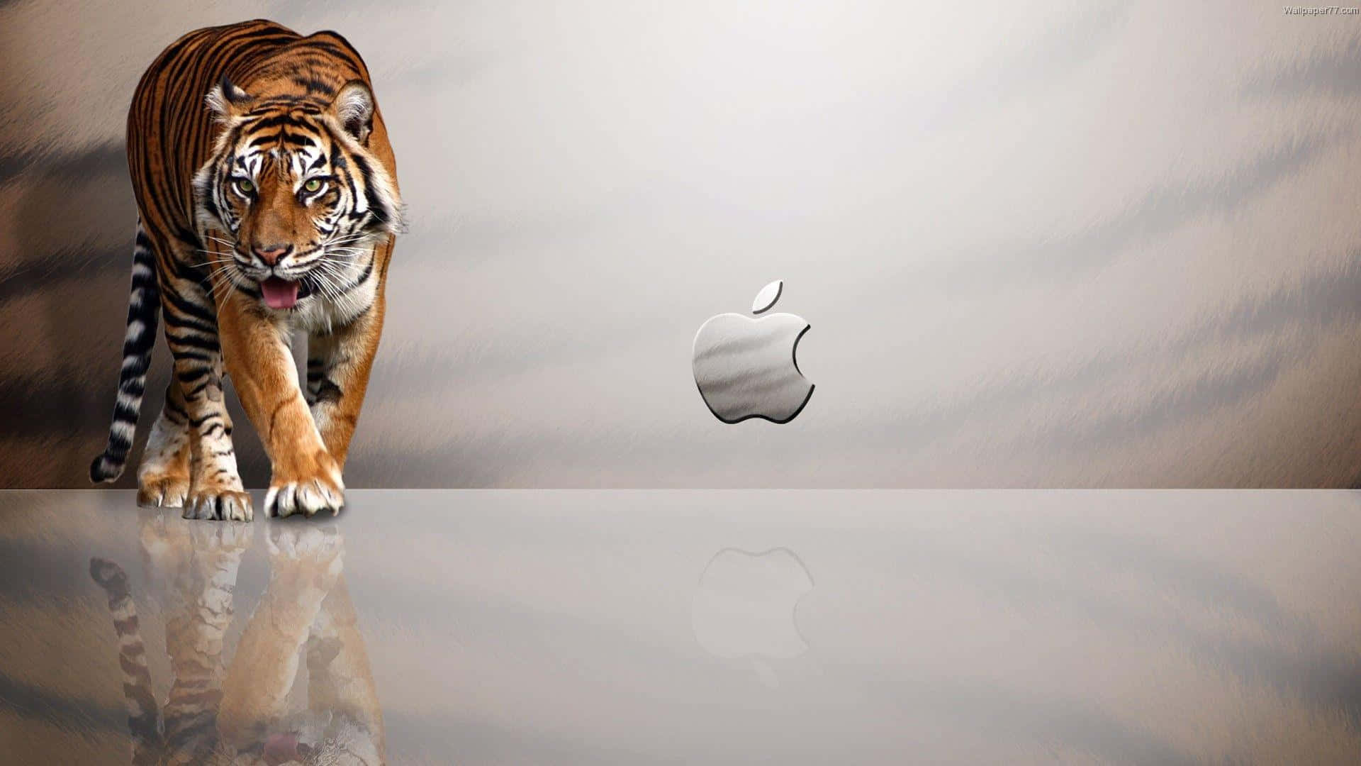 1920x1080 Apple 배경 호랑이 줄무늬 배경화면