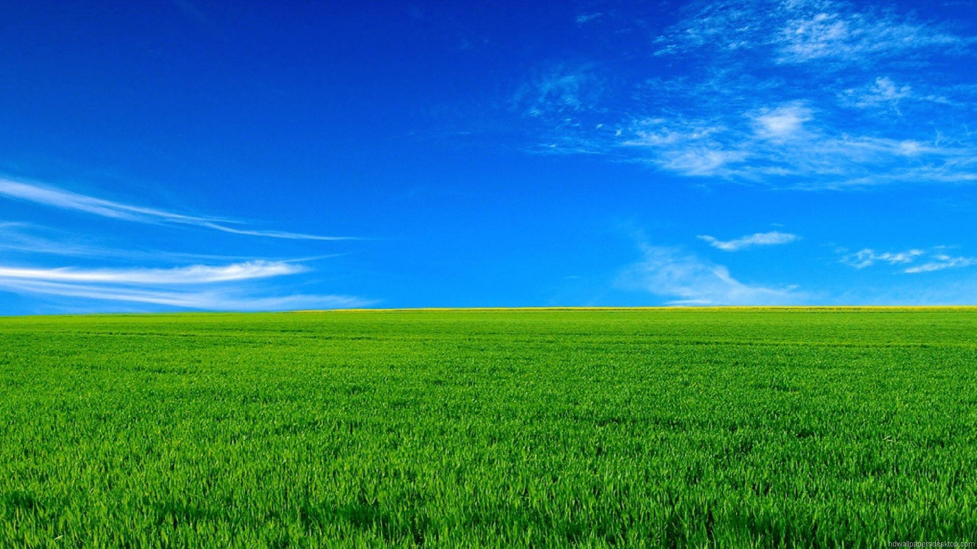 1920x1080 풀 HD 자연 녹색 잔디 푸른 하늘 배경화면