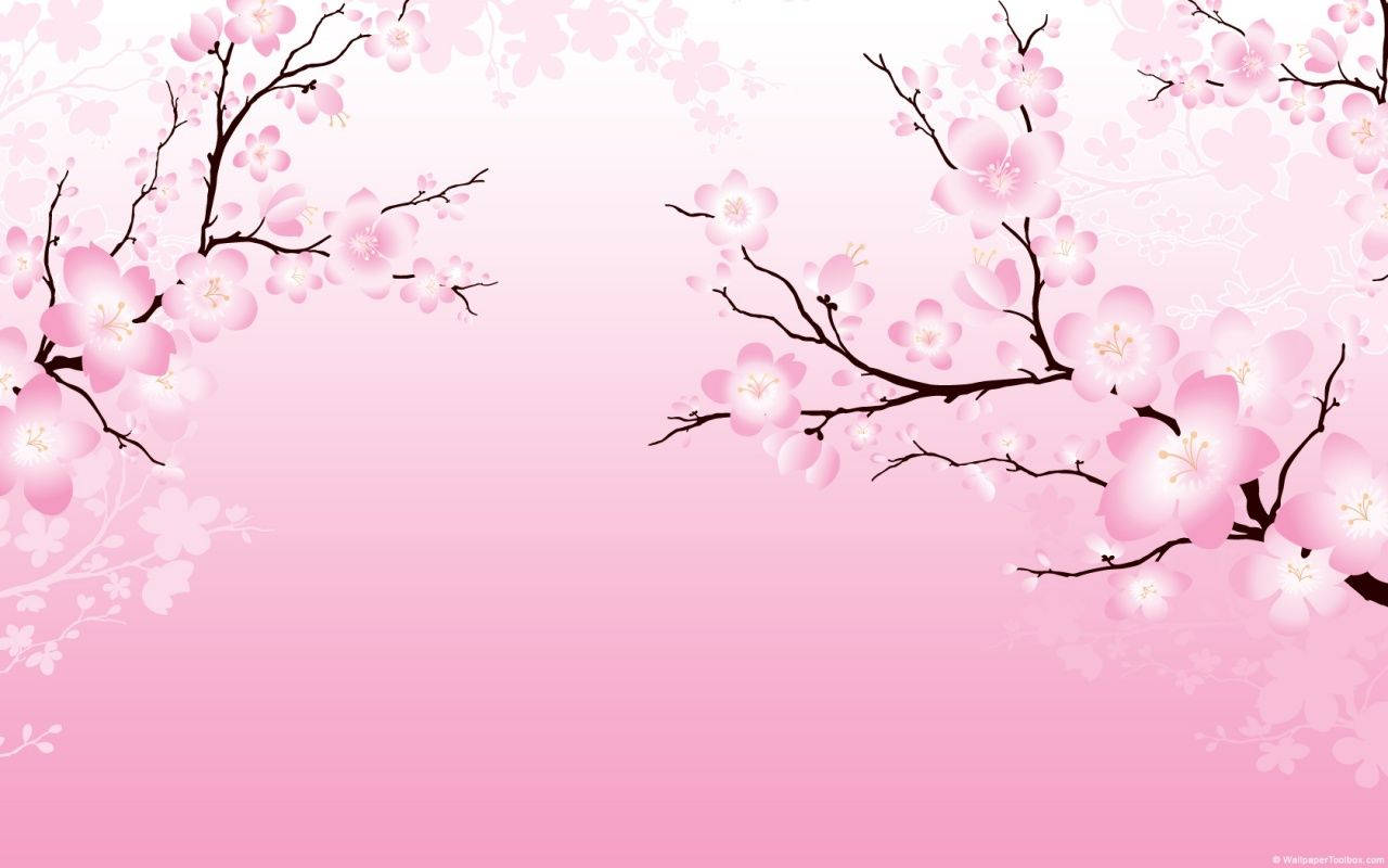 2D 벚꽃 배경화면