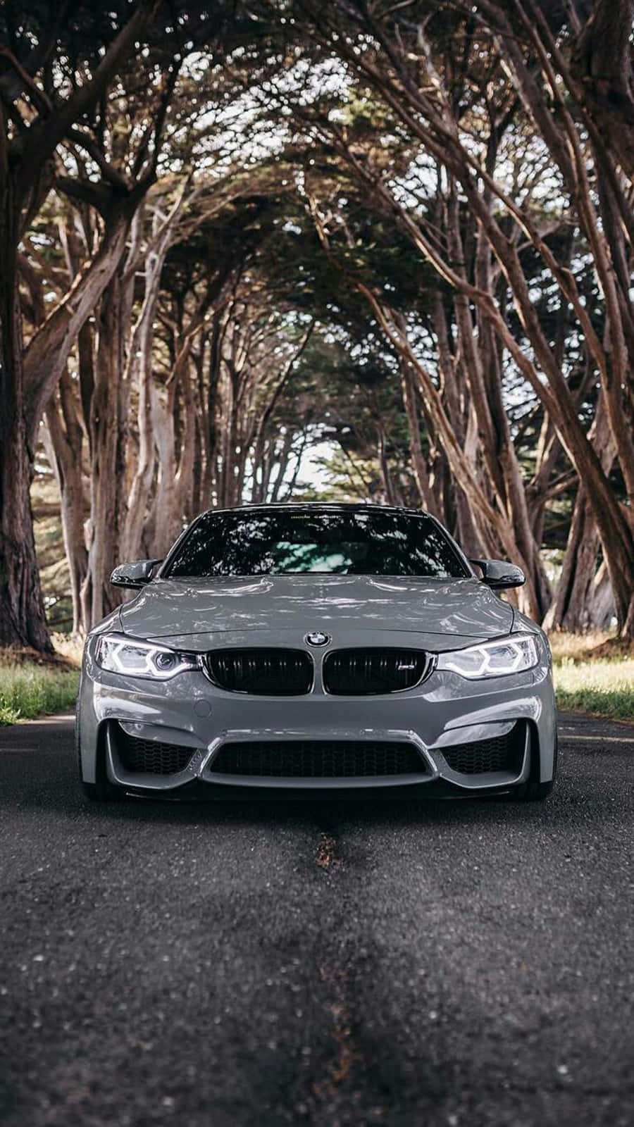 픽셀 3 BMW M4 실버스톤 메탈릭 II 배경화면