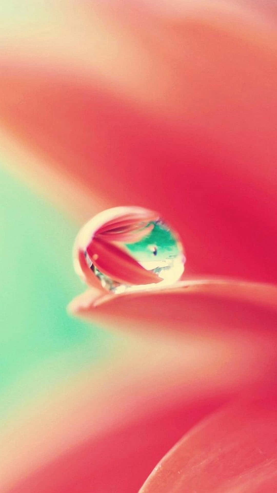 아이폰 7 플러스, 애플의 최신 대화면 스마트폰 배경화면
