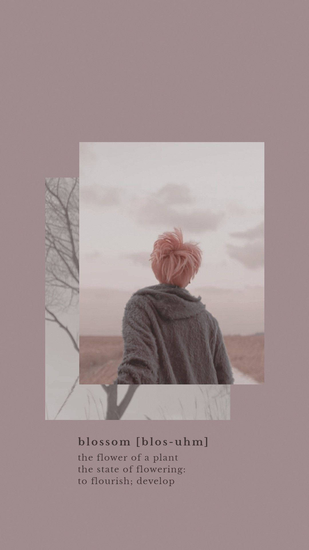 방탄소년단 지민 꽃 aesthetic 배경화면