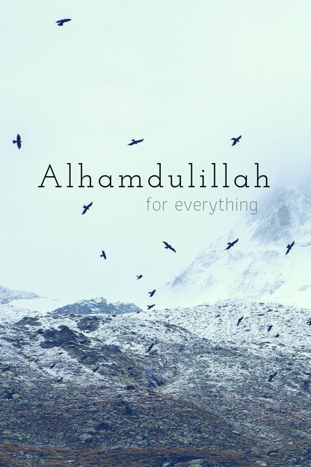 Alhamdulillah 새들과 산 배경화면