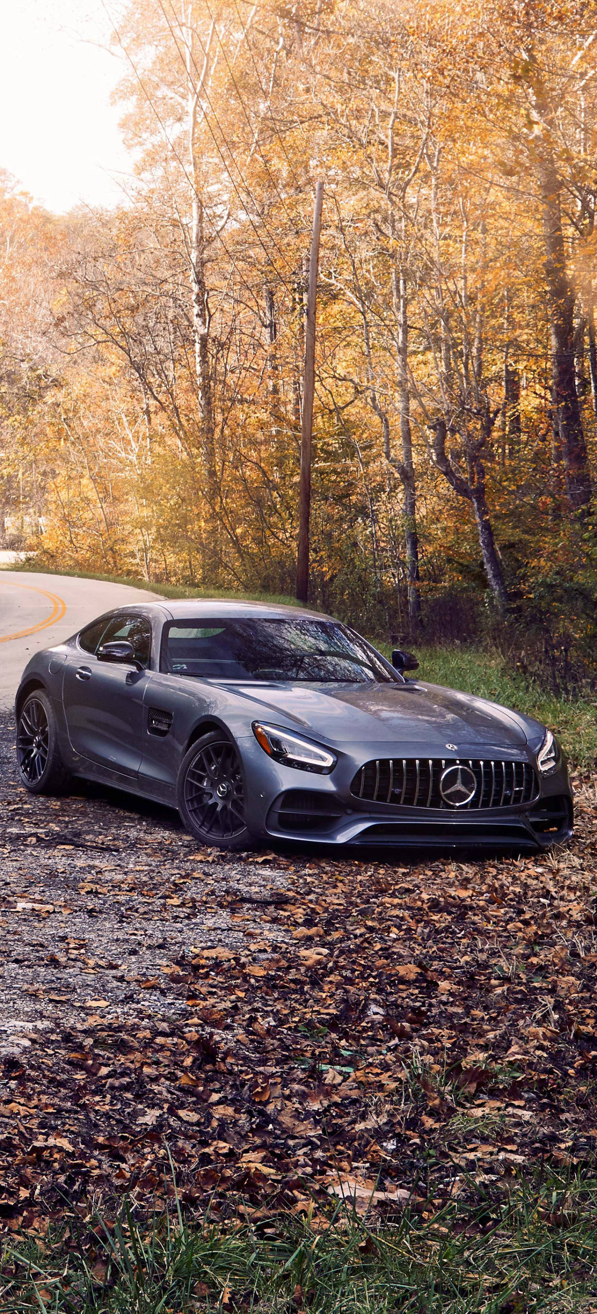 메르세데스 AMG 가을 나무 아이폰 배경화면