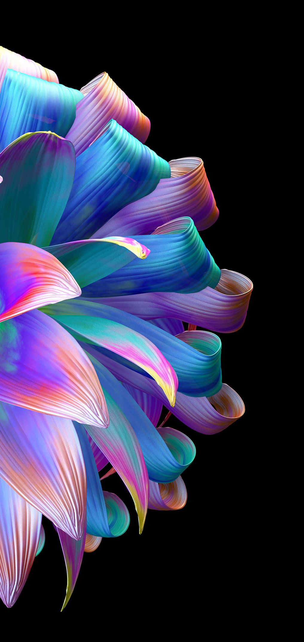 AMOLED 사진 배경화면