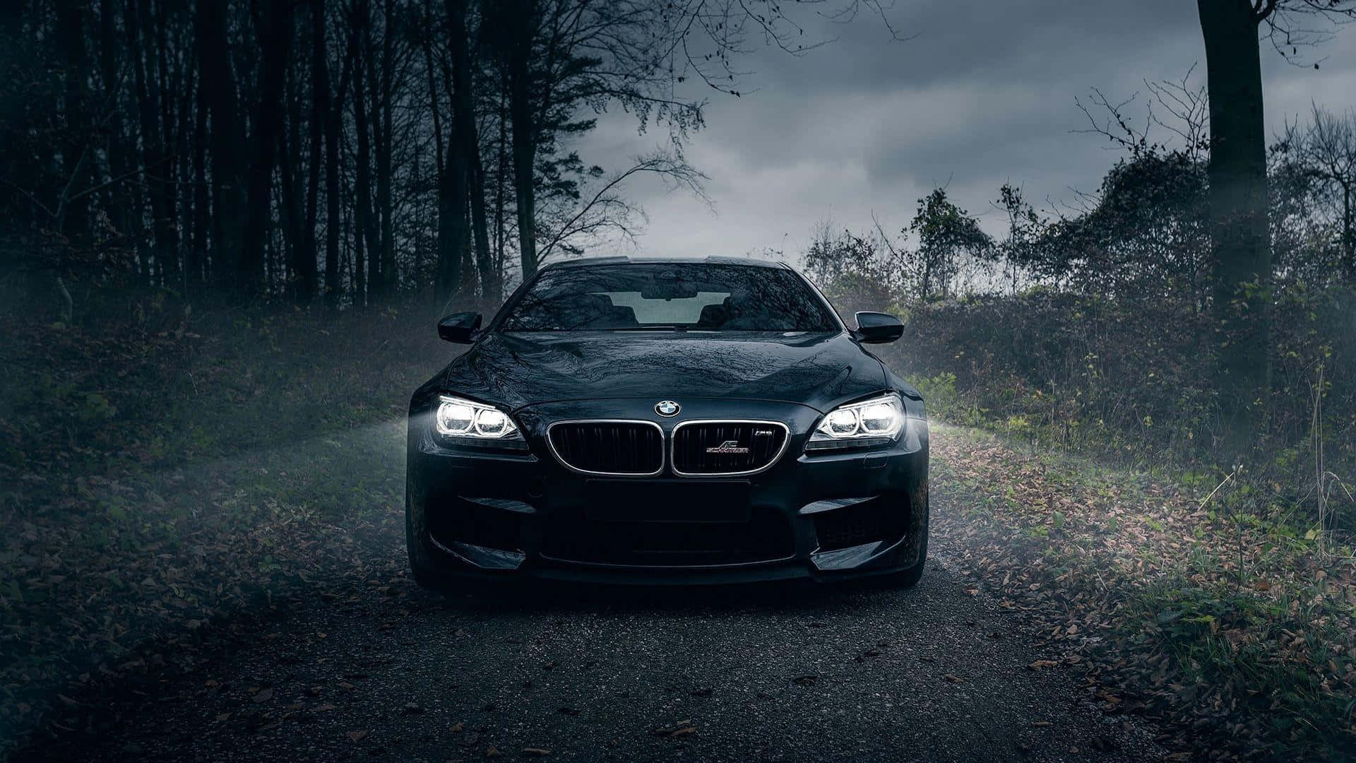 BMW 1920x1080 밤 숲 주행 배경화면