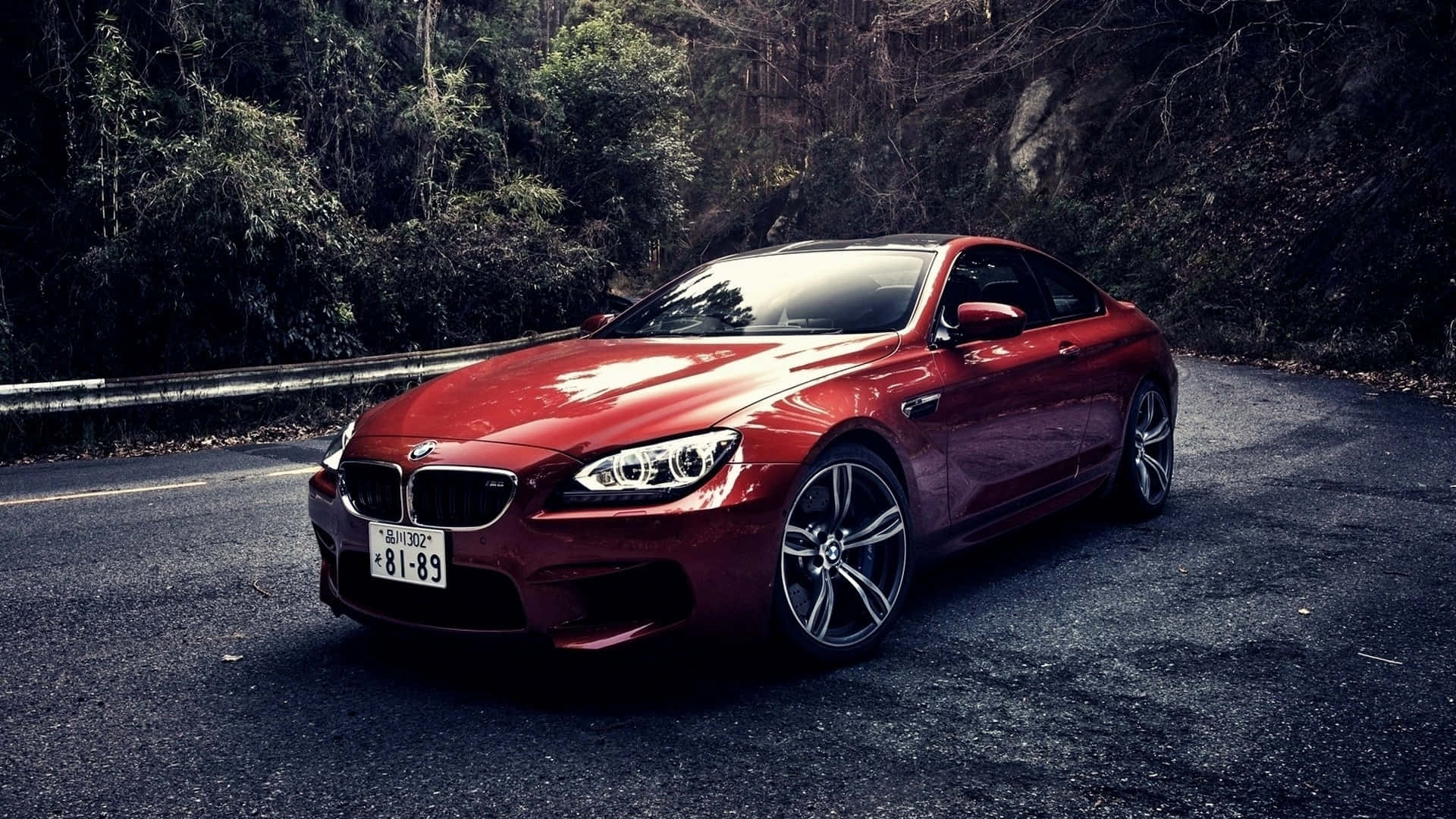 BMW 배경 숲 사이 도로 배경화면
