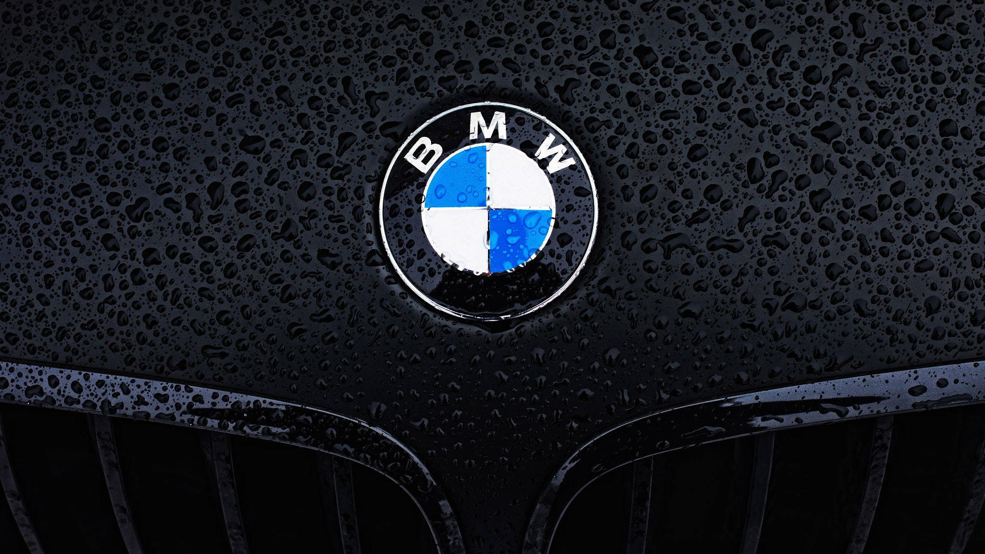 클로즈업 로고 BMW 노트북 배경화면