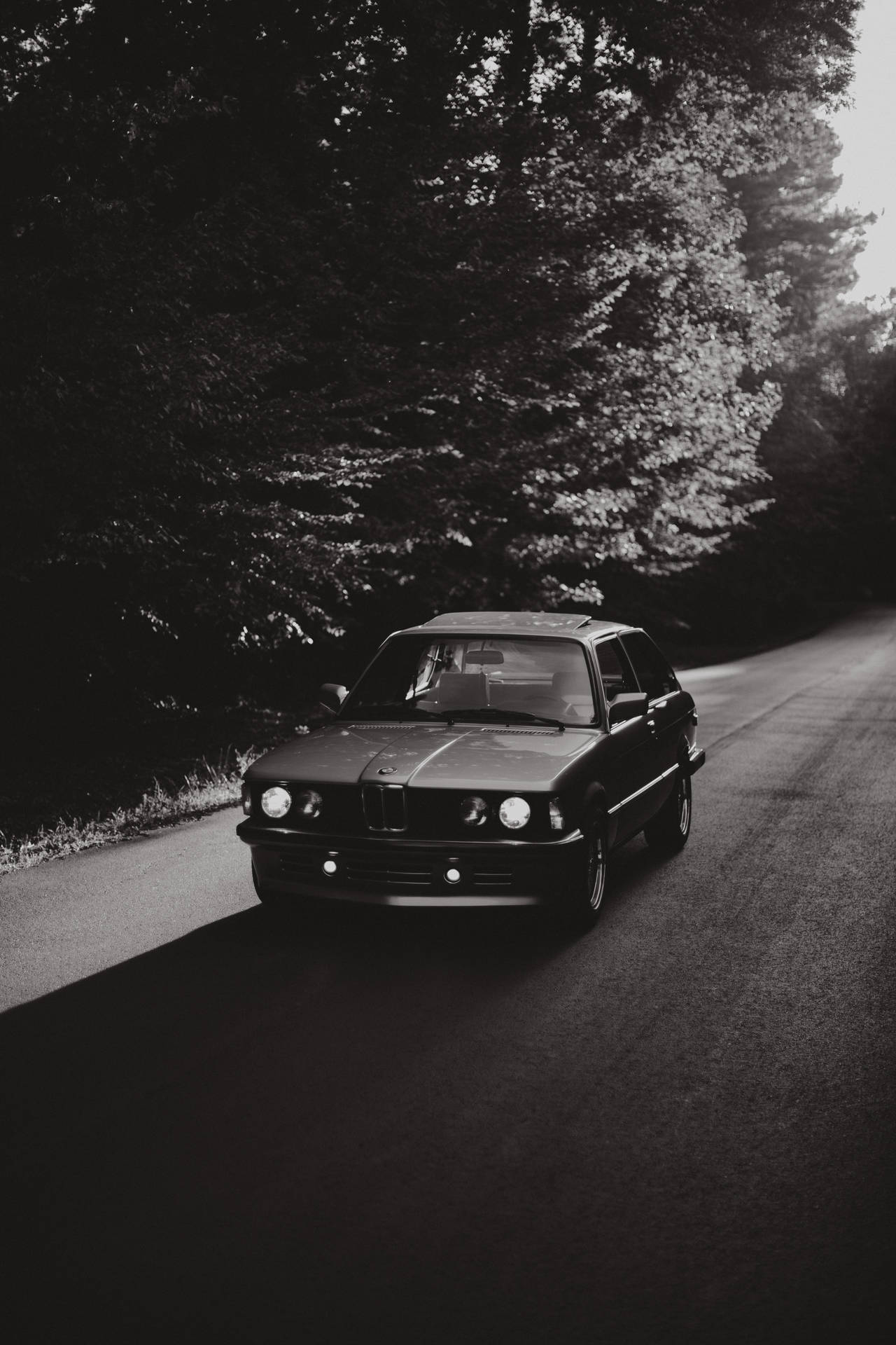 도로 위 올드 BMW 자동차의 흑백 배경화면