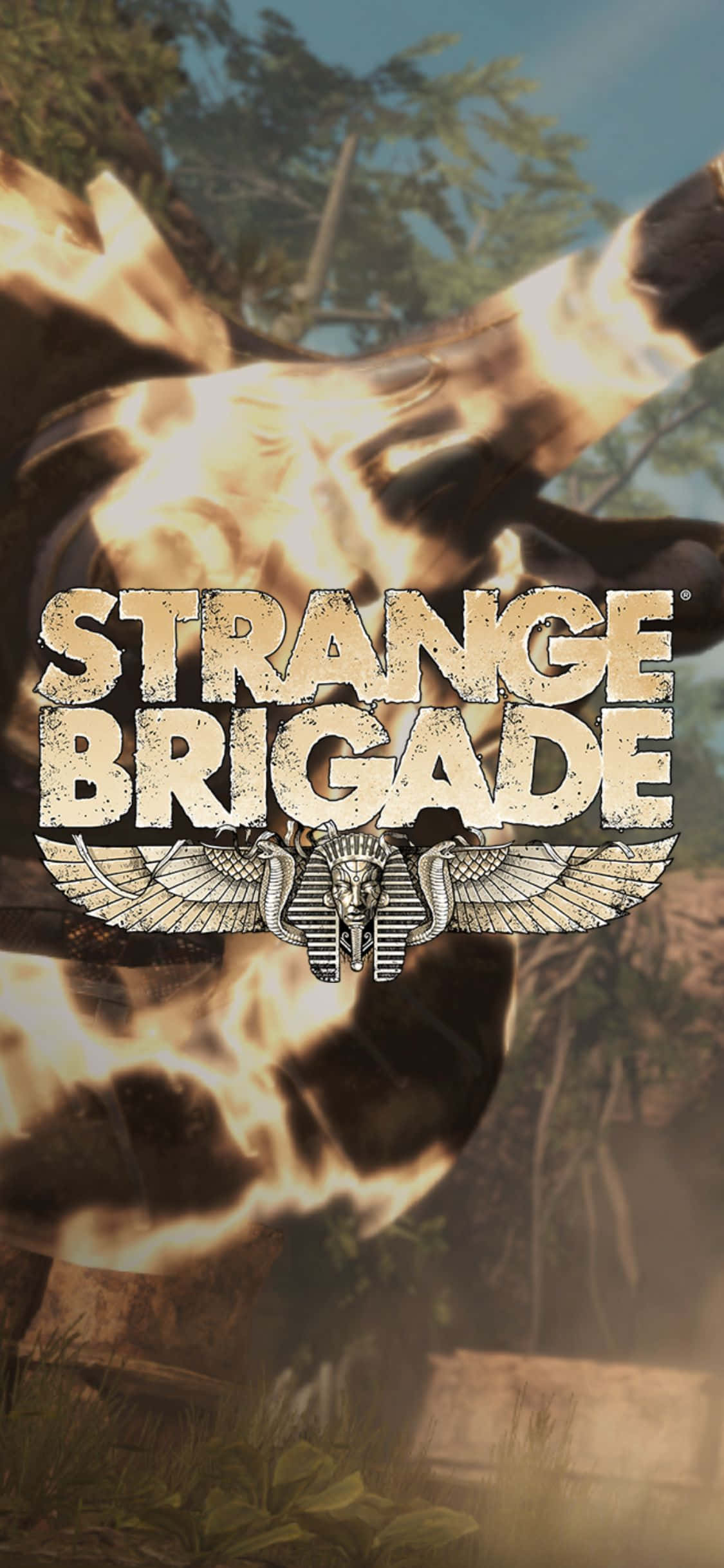 Bottle With Fire Weapon iPhone X Strange Brigade 배경 배경화면