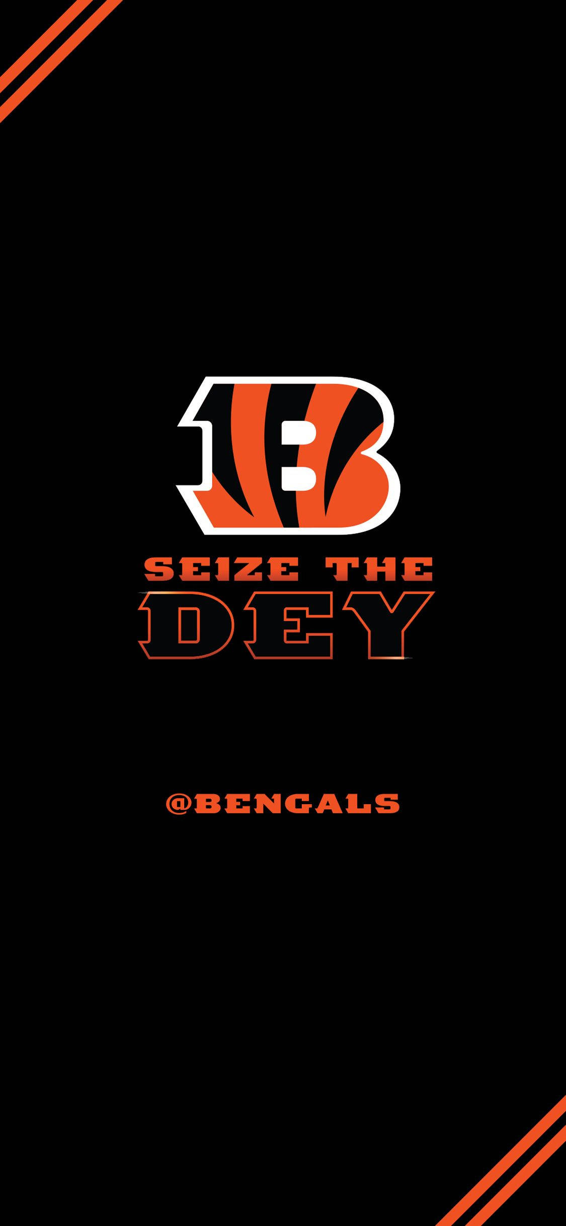 Cincinnati Bengals Seize The Dey 배경화면