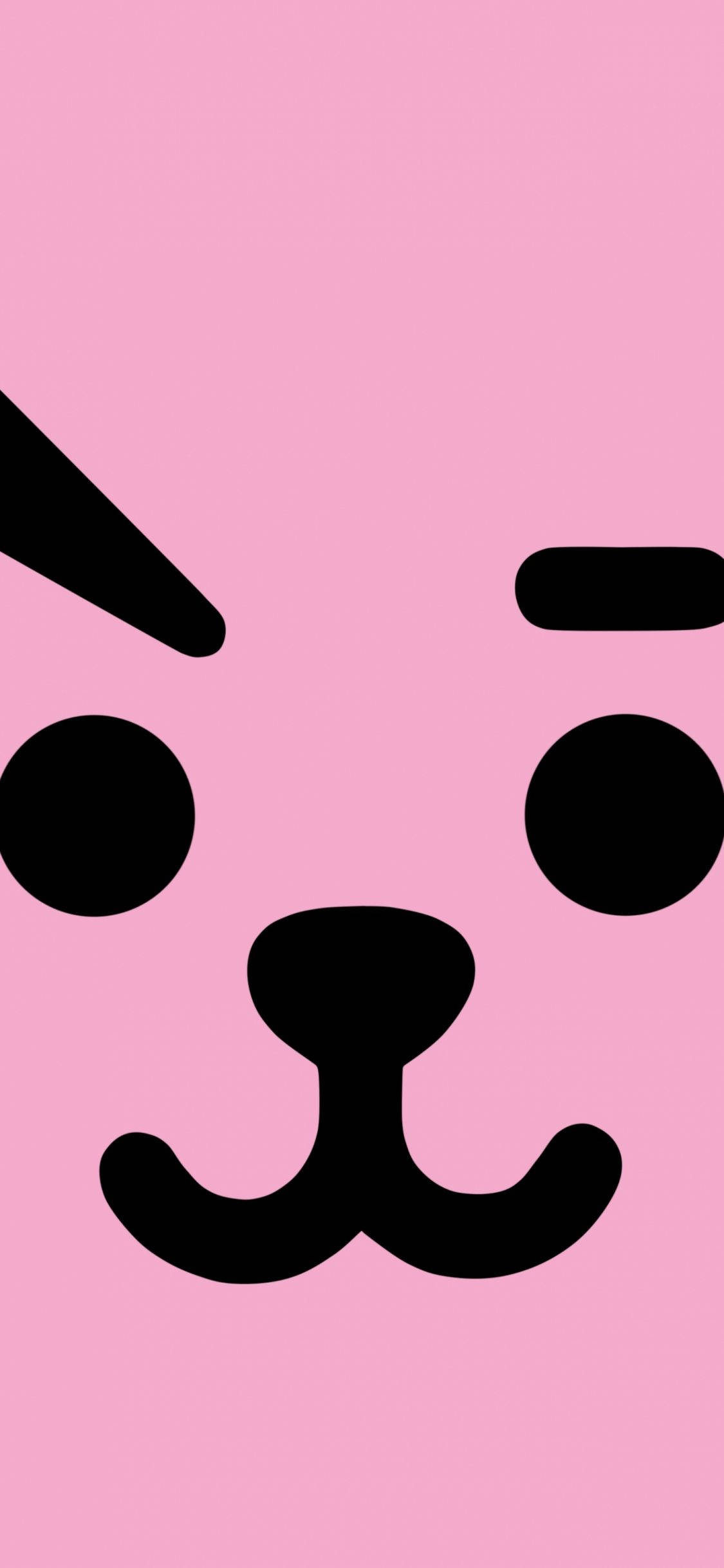 Cooky Bt21 전체 얼굴 배경화면