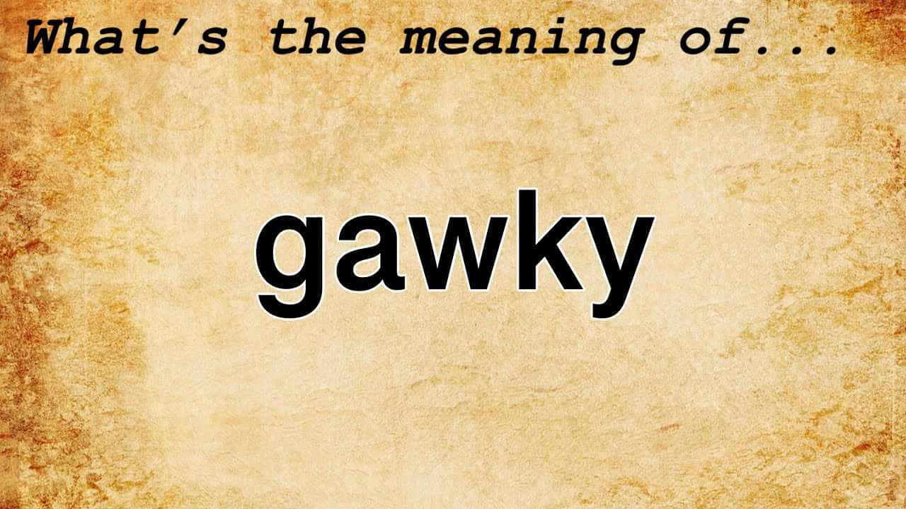Gawky의 의미에 대한 질문 배경화면