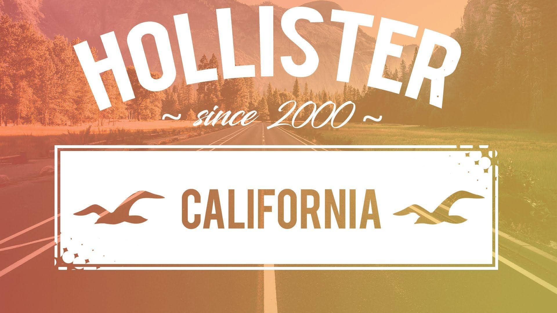 Hollister Since 2000 California 배경화면