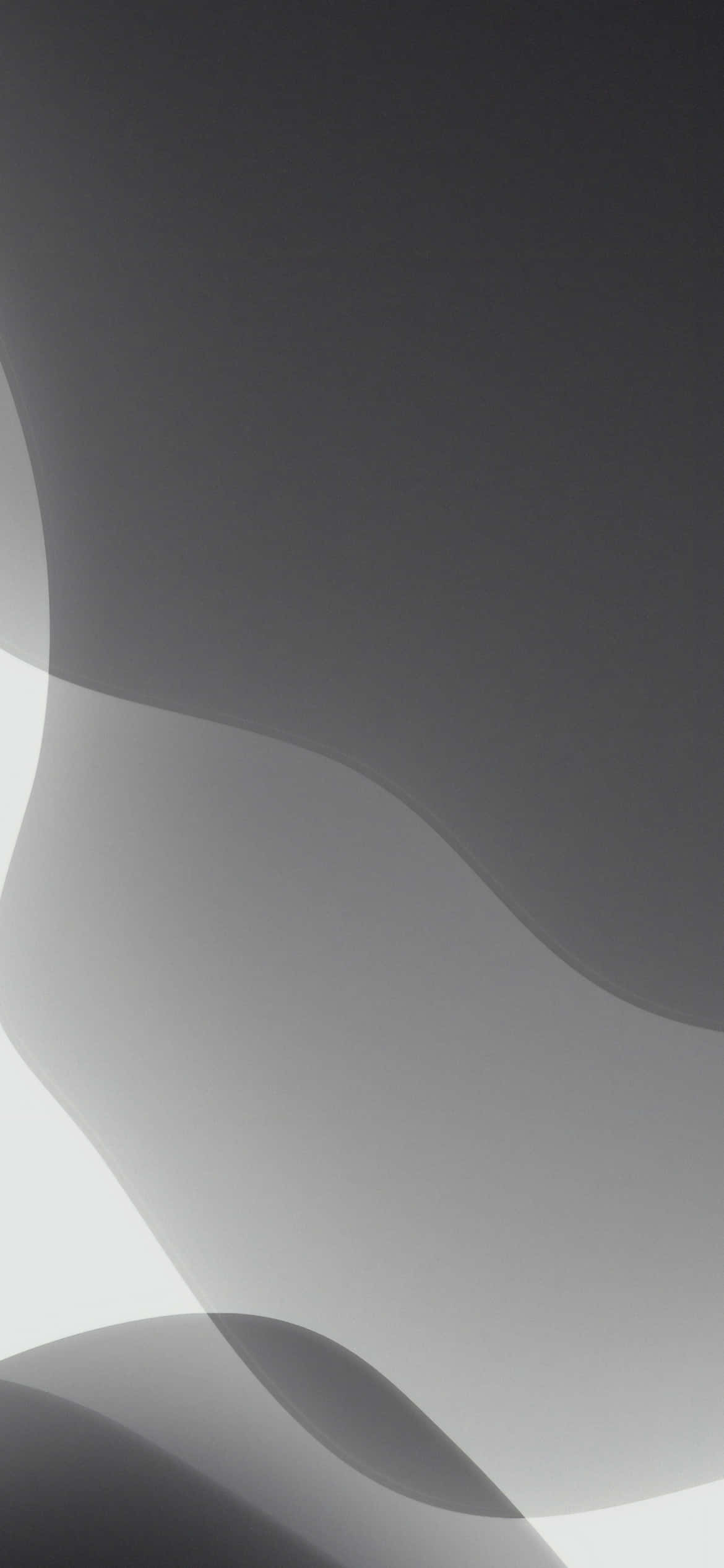 iOS 13 연한 회색 추상 배경 배경화면