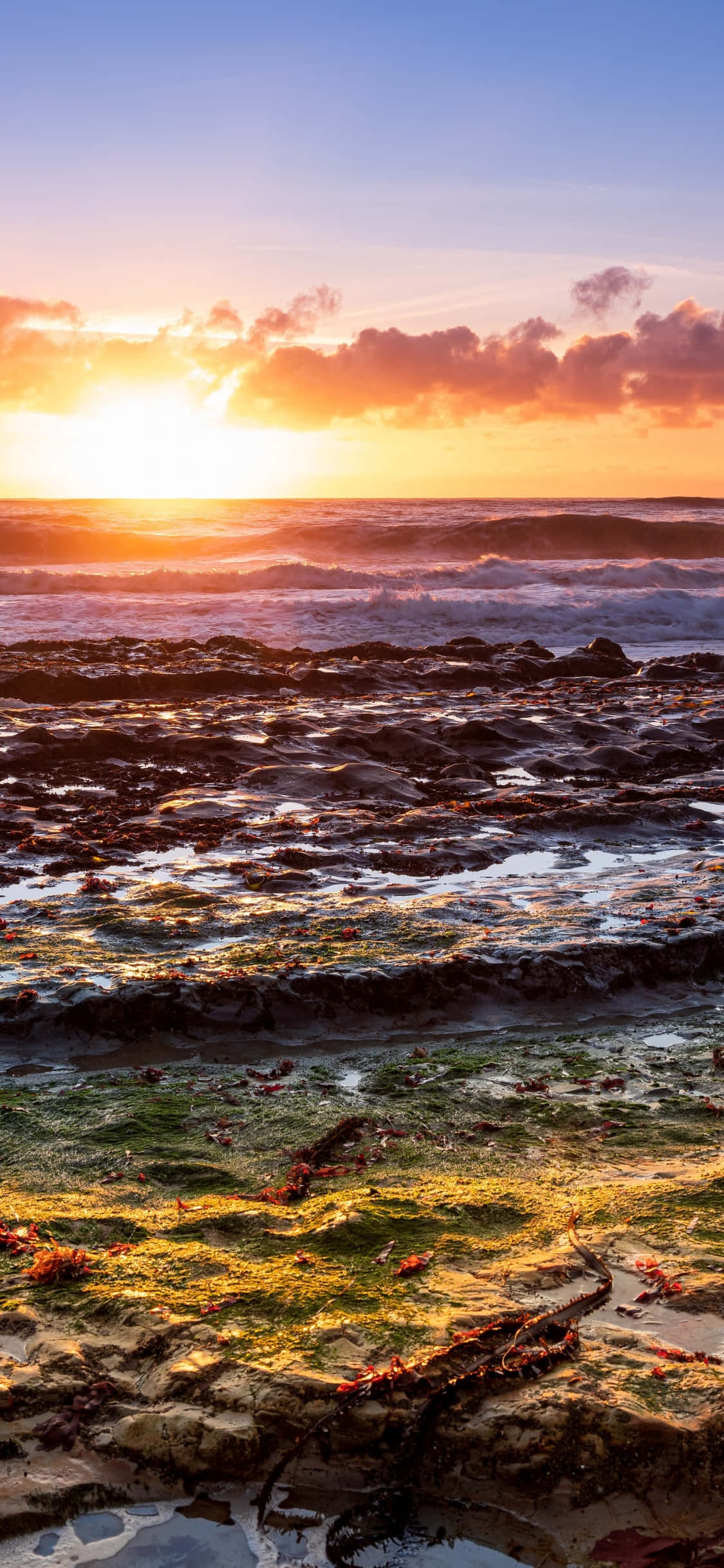 iPhone X로 어디서나 캘리포니아 해안선을 즐기세요 배경화면