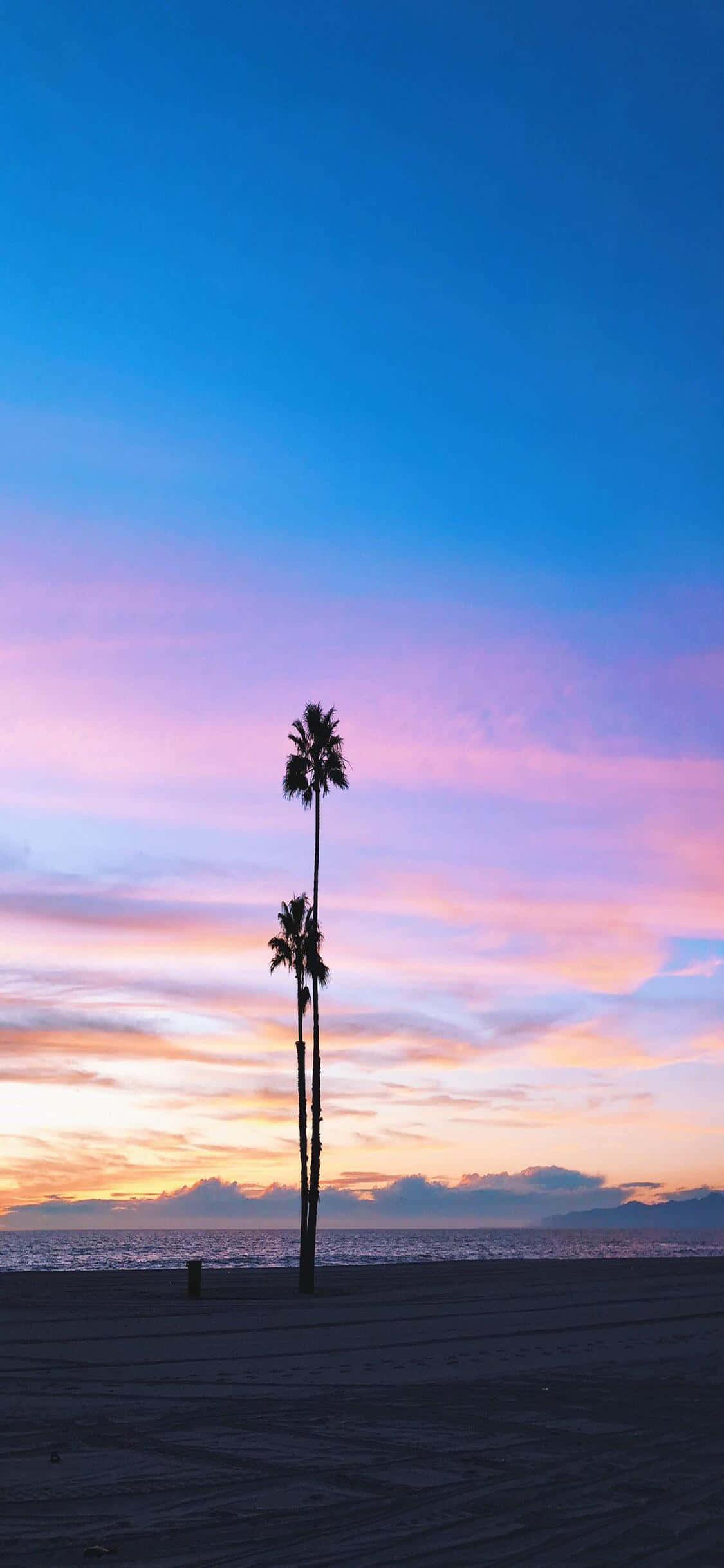 iPhone X California으로 골든 스테이트에서의 삶을 즐기다 배경화면