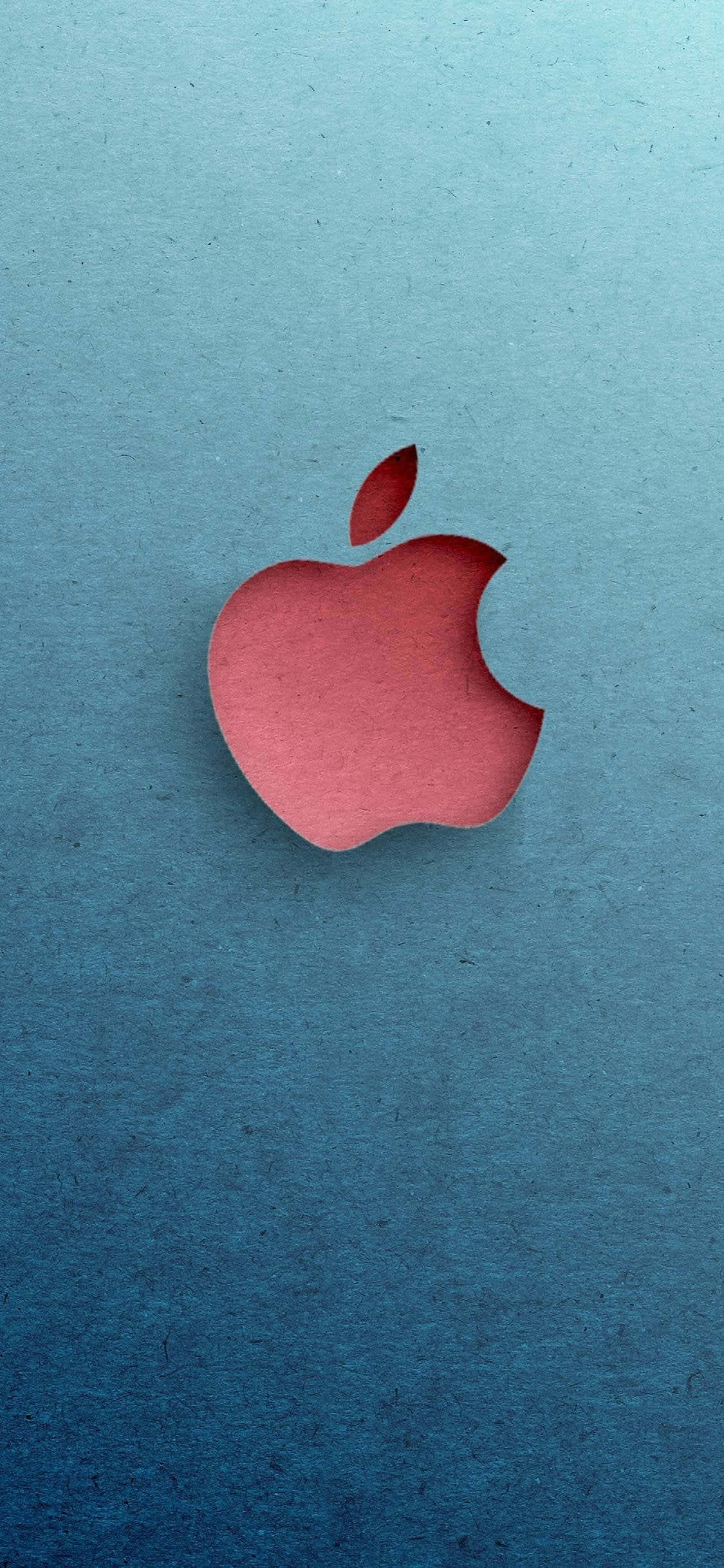 iPhone X 사진 배경화면