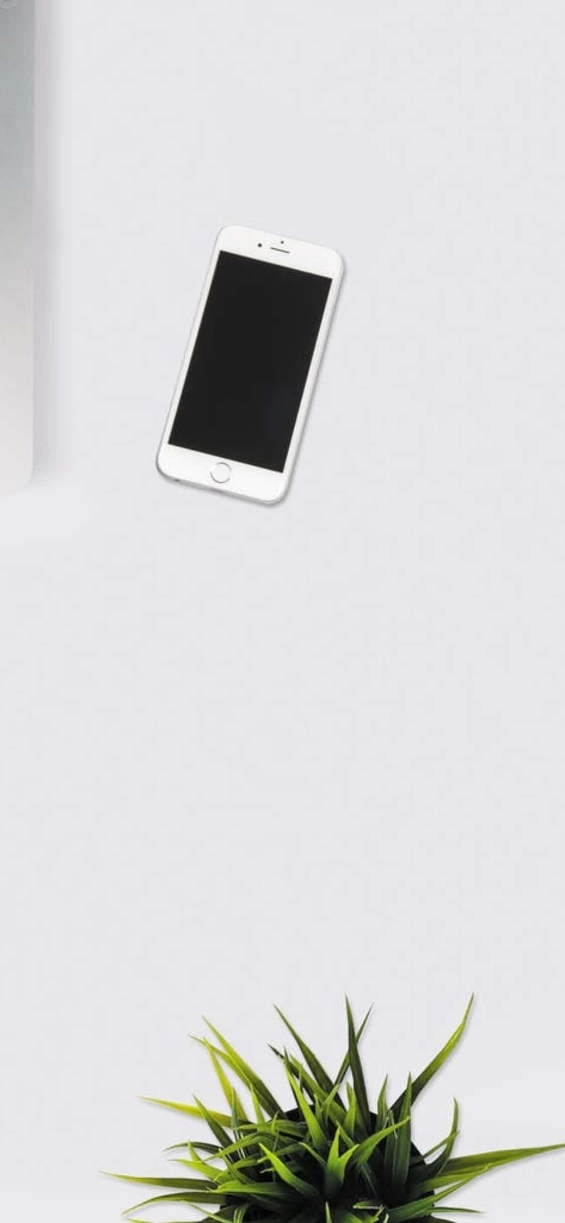 iPhone X 책상 배경화면 실내 식물이 있는 흰색 전화기 배경화면