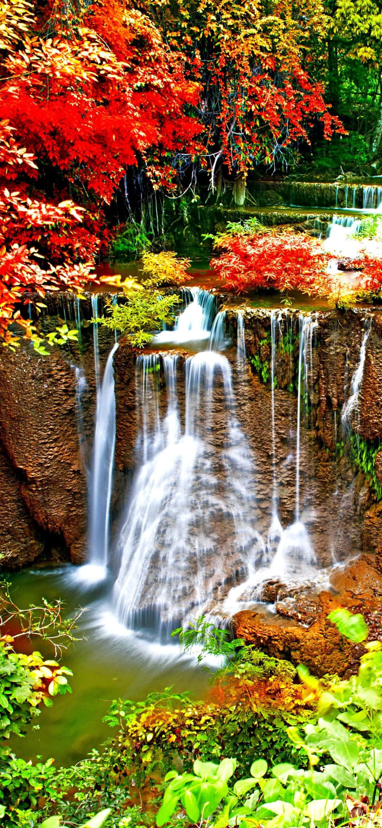 Enjoy the vibrant colors of fall with the iPhone Xs Max 배경화면