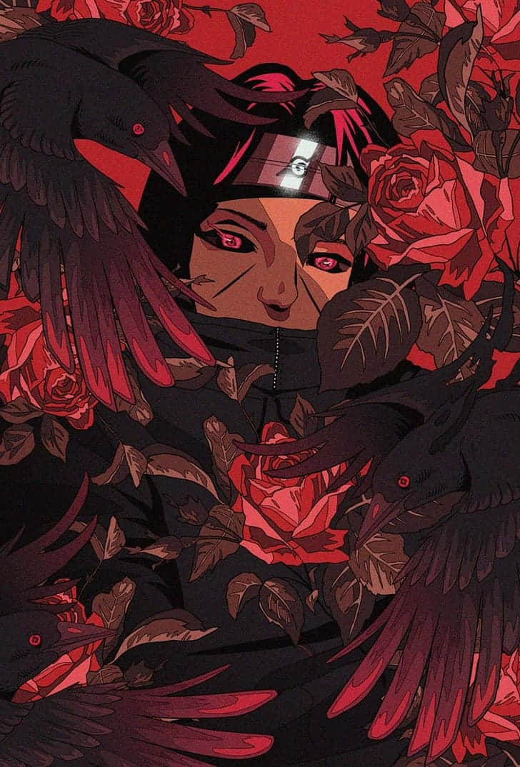 Itachi Uchiha 장미꽃 사진 배경화면