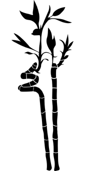 물방울 검은 배경.JPG 배경화면
