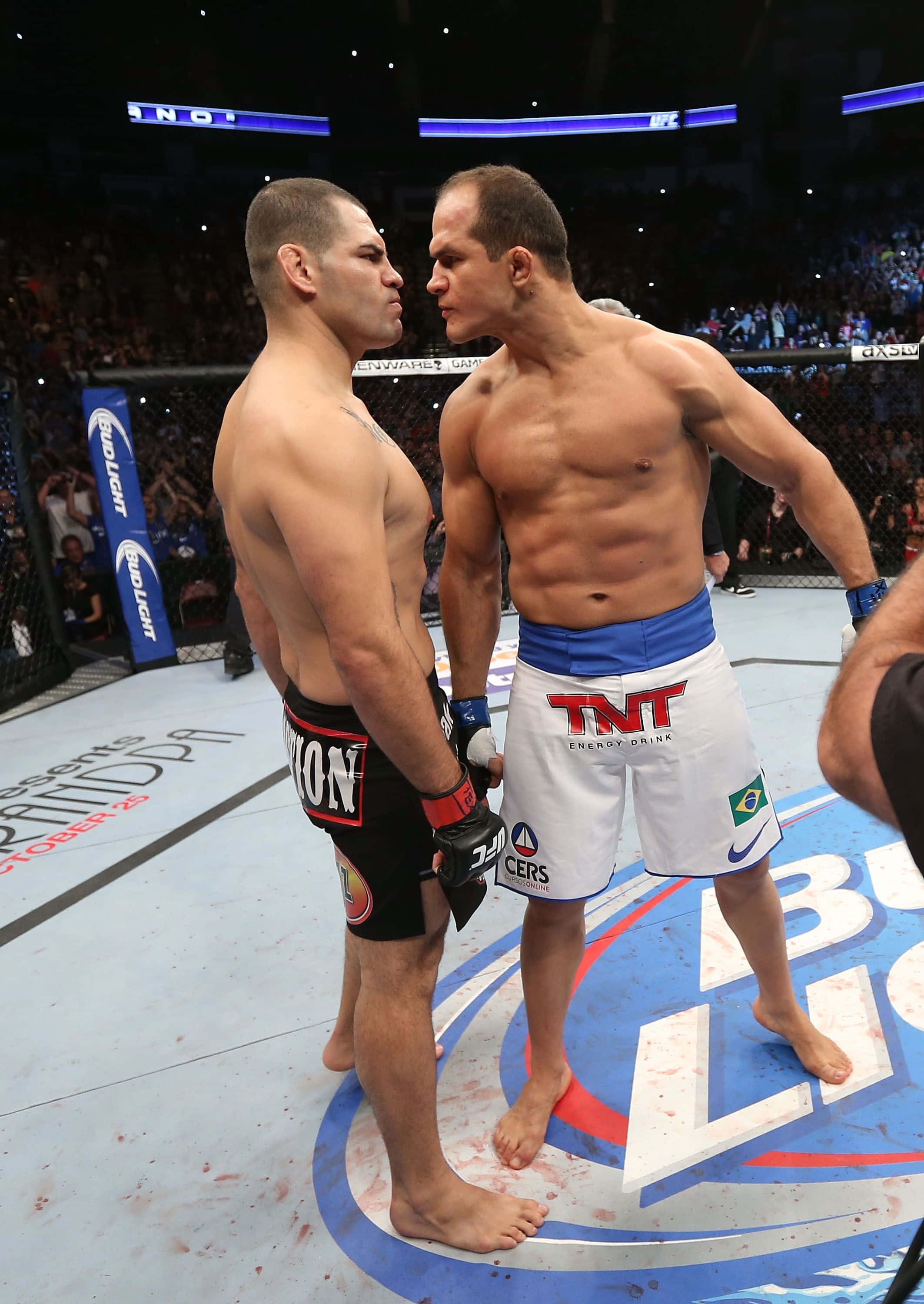 Junior Dos Santos UFC On Fox 1 배경화면