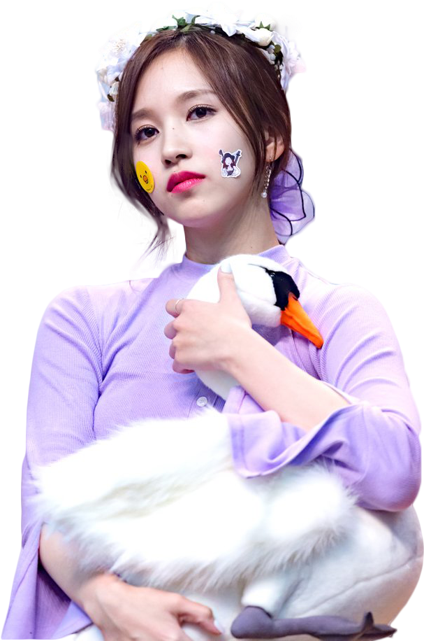 인형 백조를 안고 있는 K팝 스타 배경화면