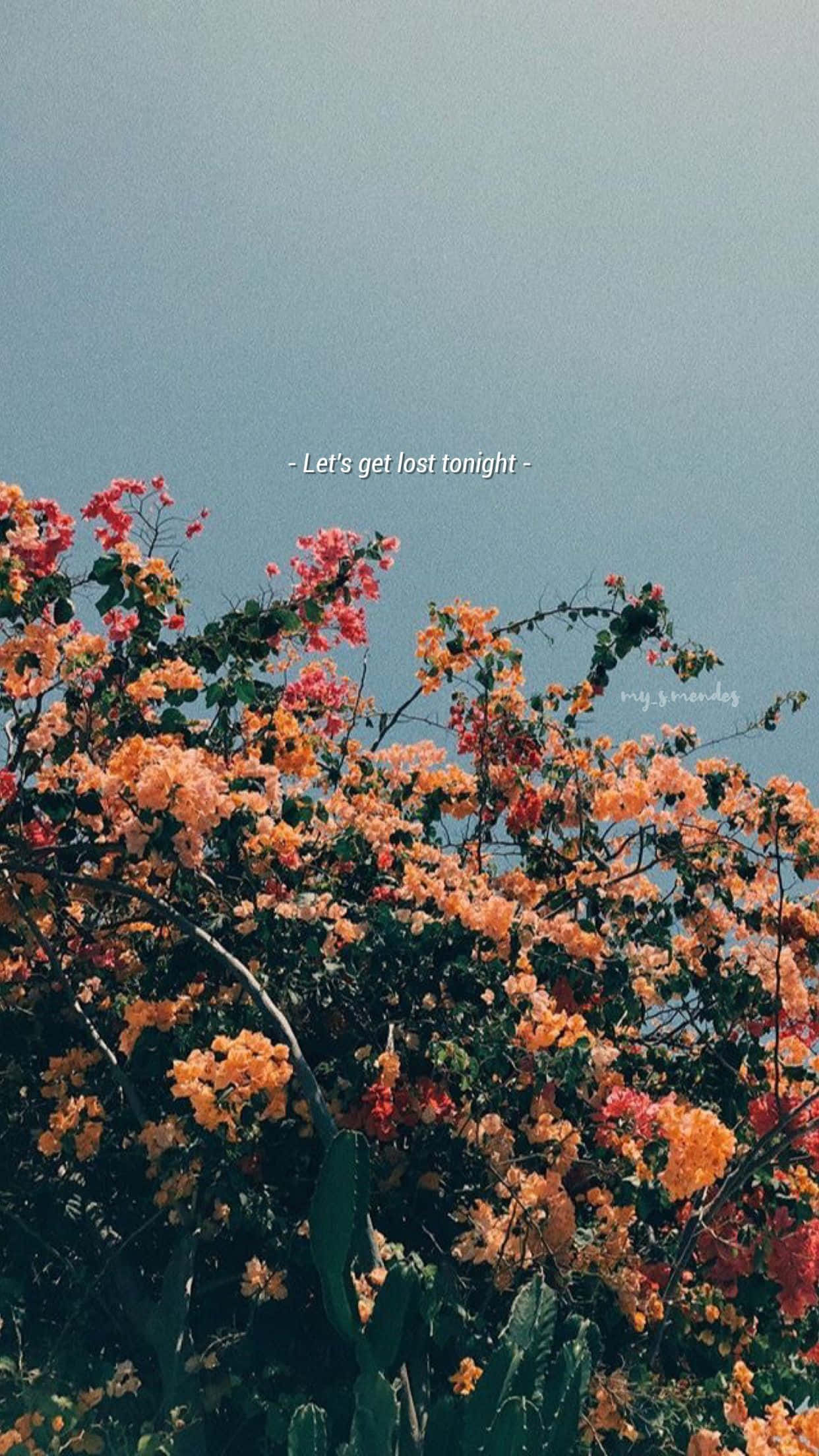 꽃 사진과 'love you first thought'라는 문구 배경화면