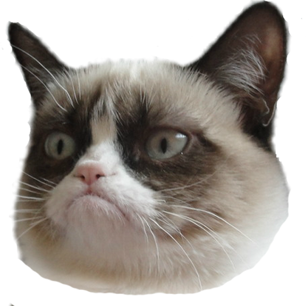심술 고양이 얼굴 투명 배경.PNG 배경화면