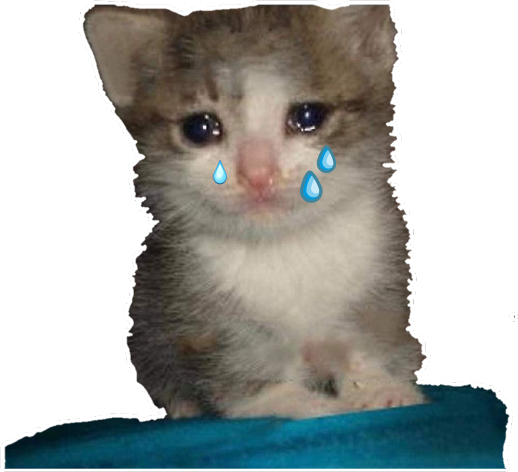 울고 있는 새끼 고양이 밈.PNG 배경화면