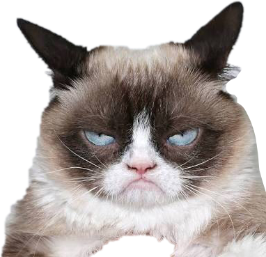 심술난 고양이 표정.PNG 배경화면