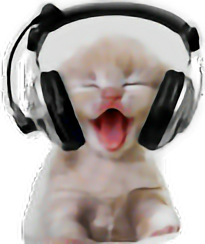 웃는 고양이 헤드폰 착용.PNG 배경화면