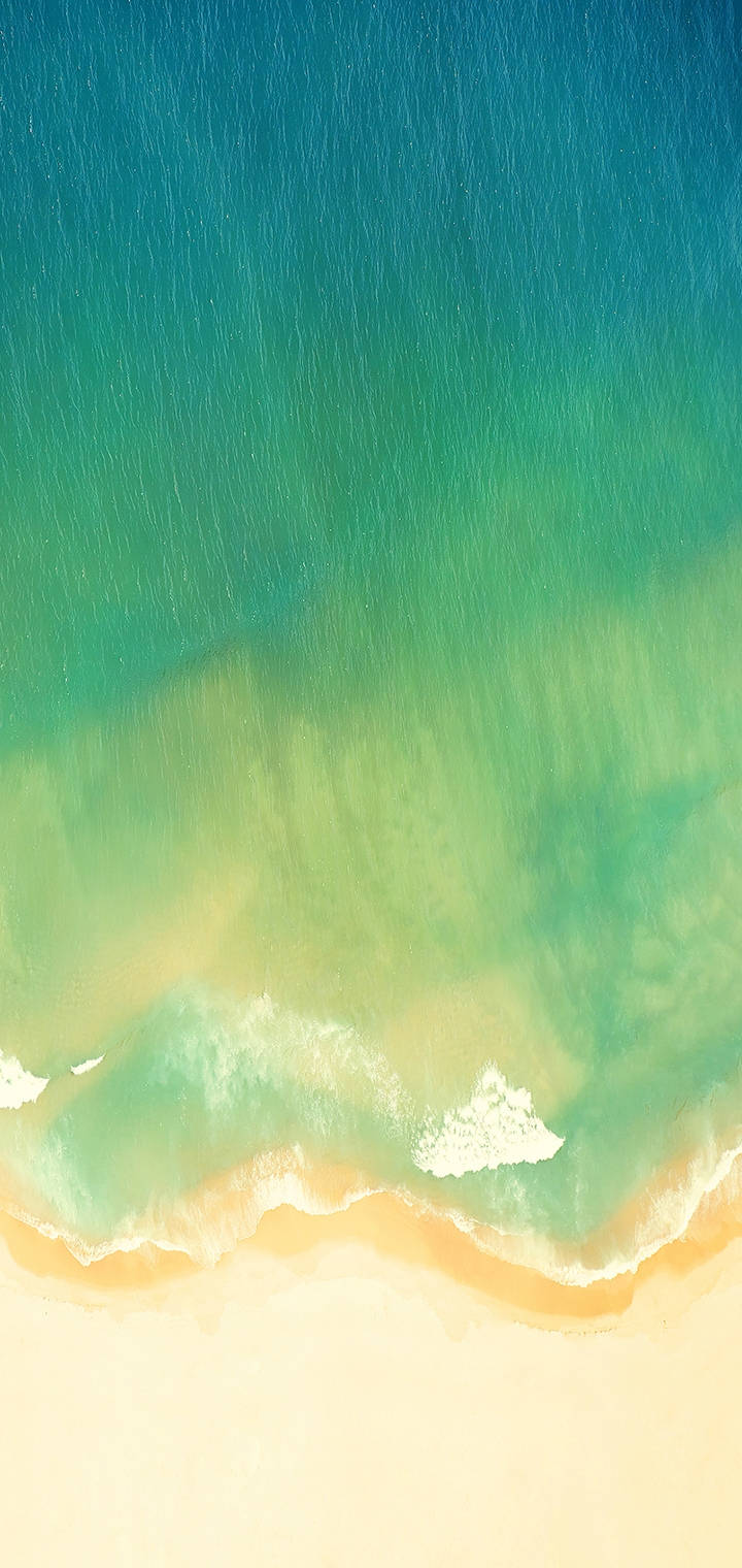 Realme Green Beach 배경화면