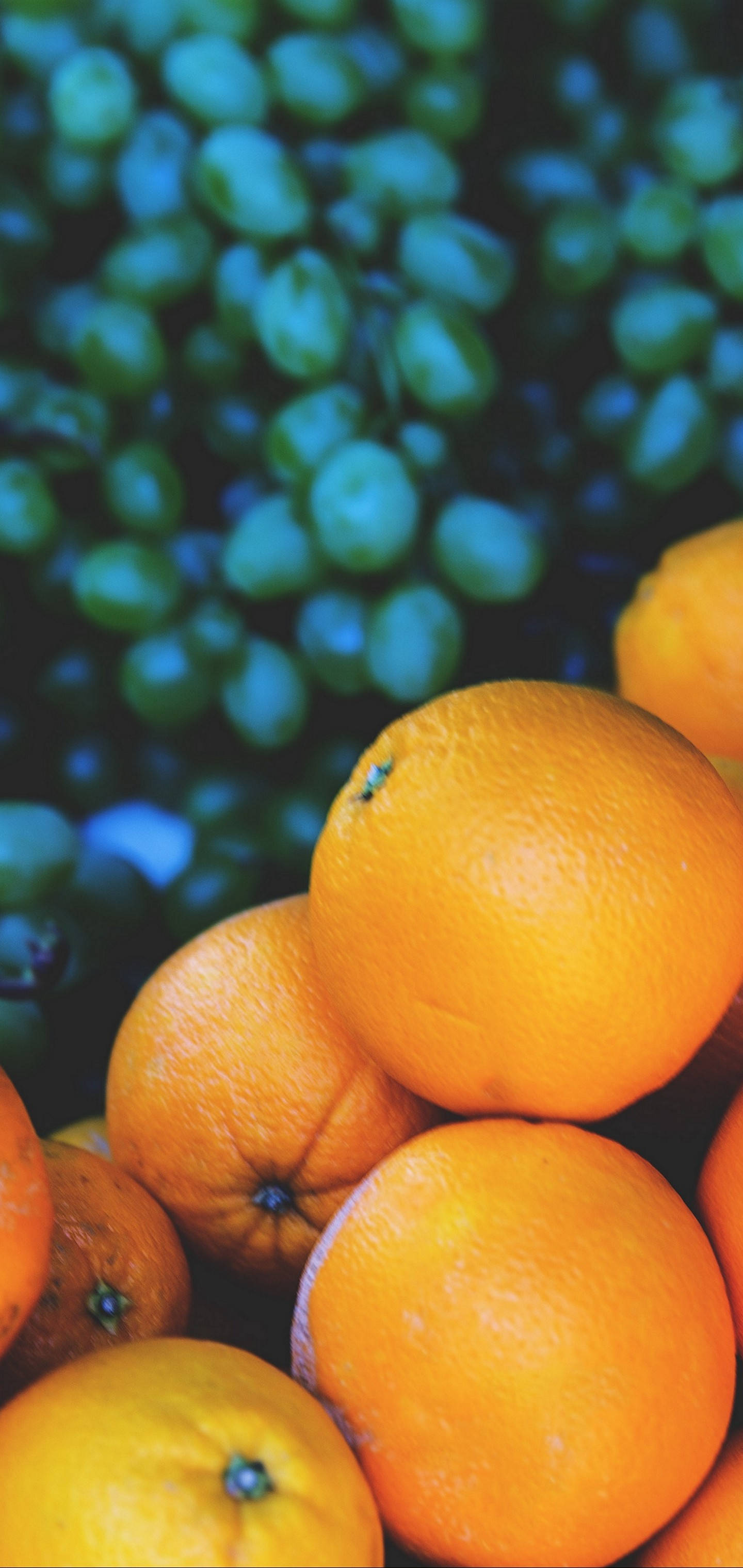 S10 Oranges And Grapes 배경화면