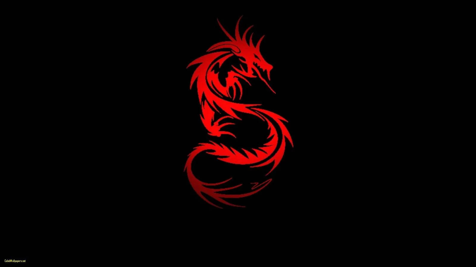 S자형 중국 붉은 용 배경화면