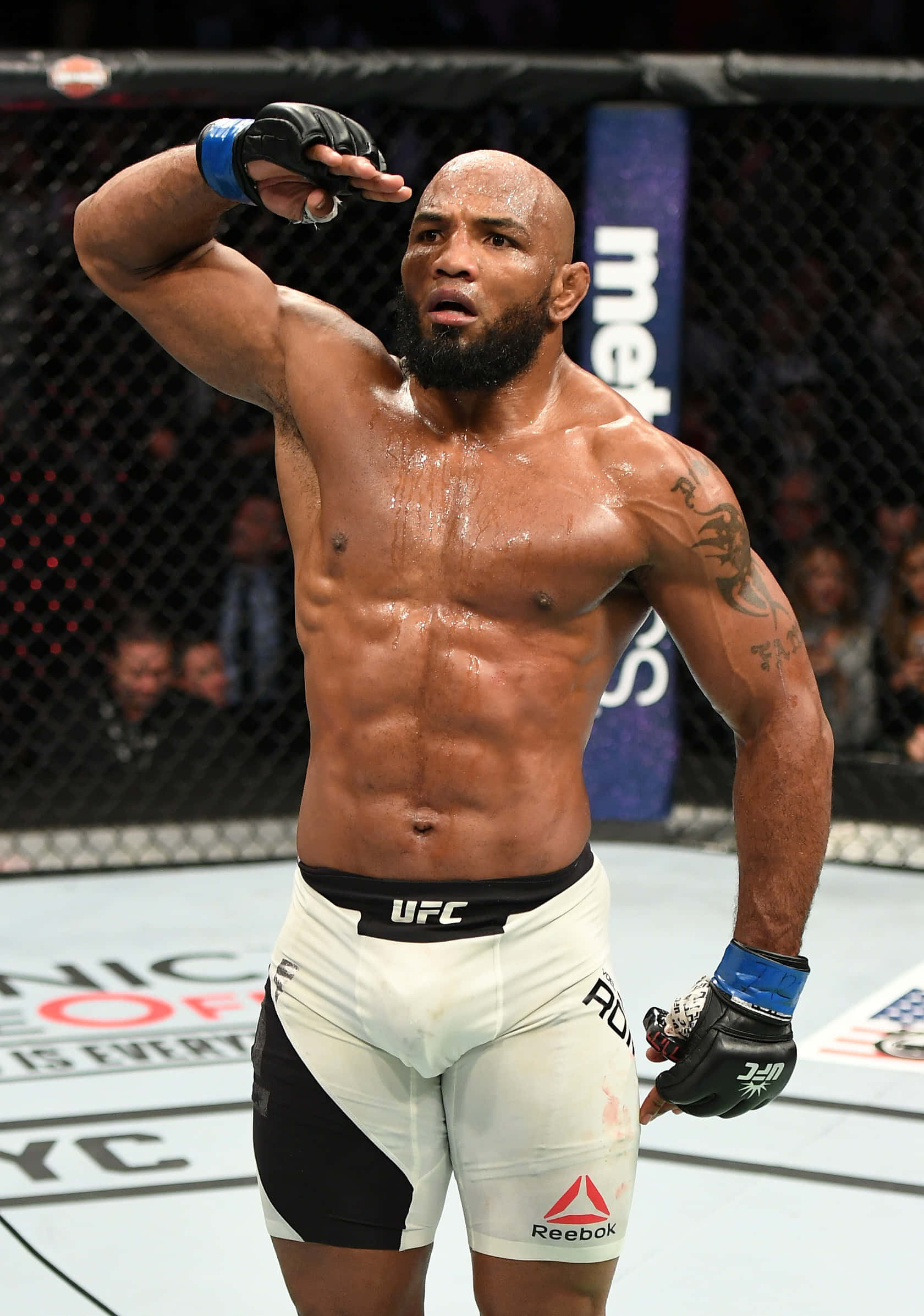 UFC 205에서의 요엘 로메로 인사 포즈 배경화면
