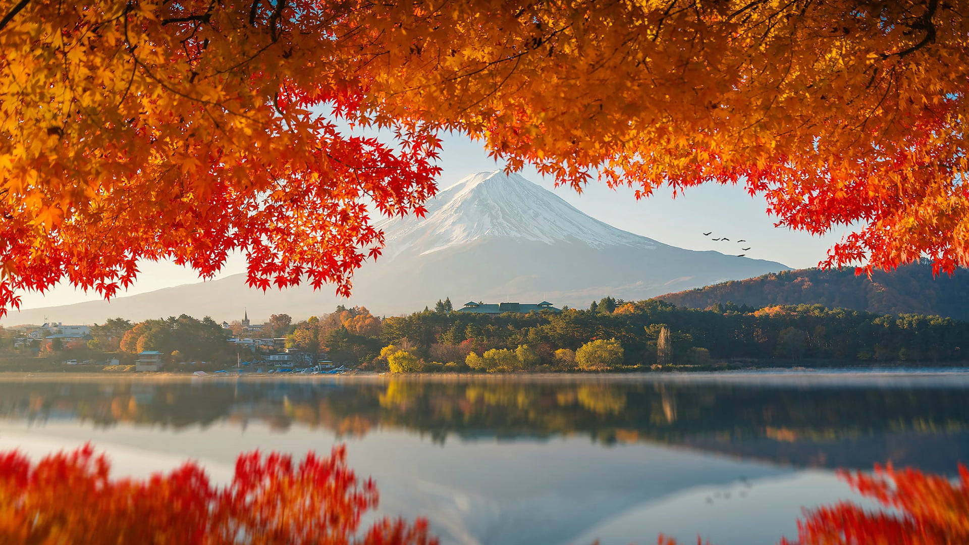 가을 맥북 후지산 배경화면