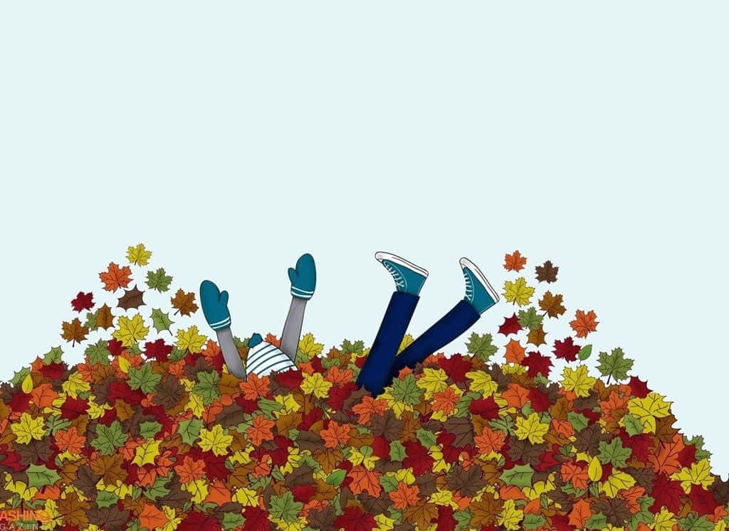 가을의 자연미를 만끽하세요 배경화면