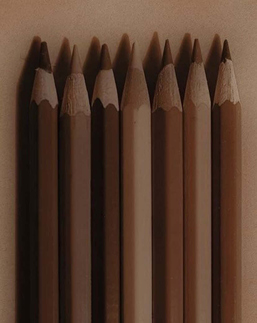 갈색의 감성적인 풍경 속에서 자연의 아름다움을 즐기다 배경화면