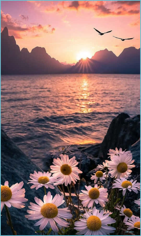 감각을 깨우고 예뻐지세요 배경화면