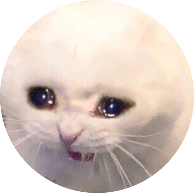 걱정하는 고양이 밈 원형 배경화면