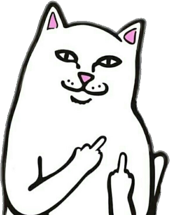 건방진 고양이 밈 손짓 배경화면