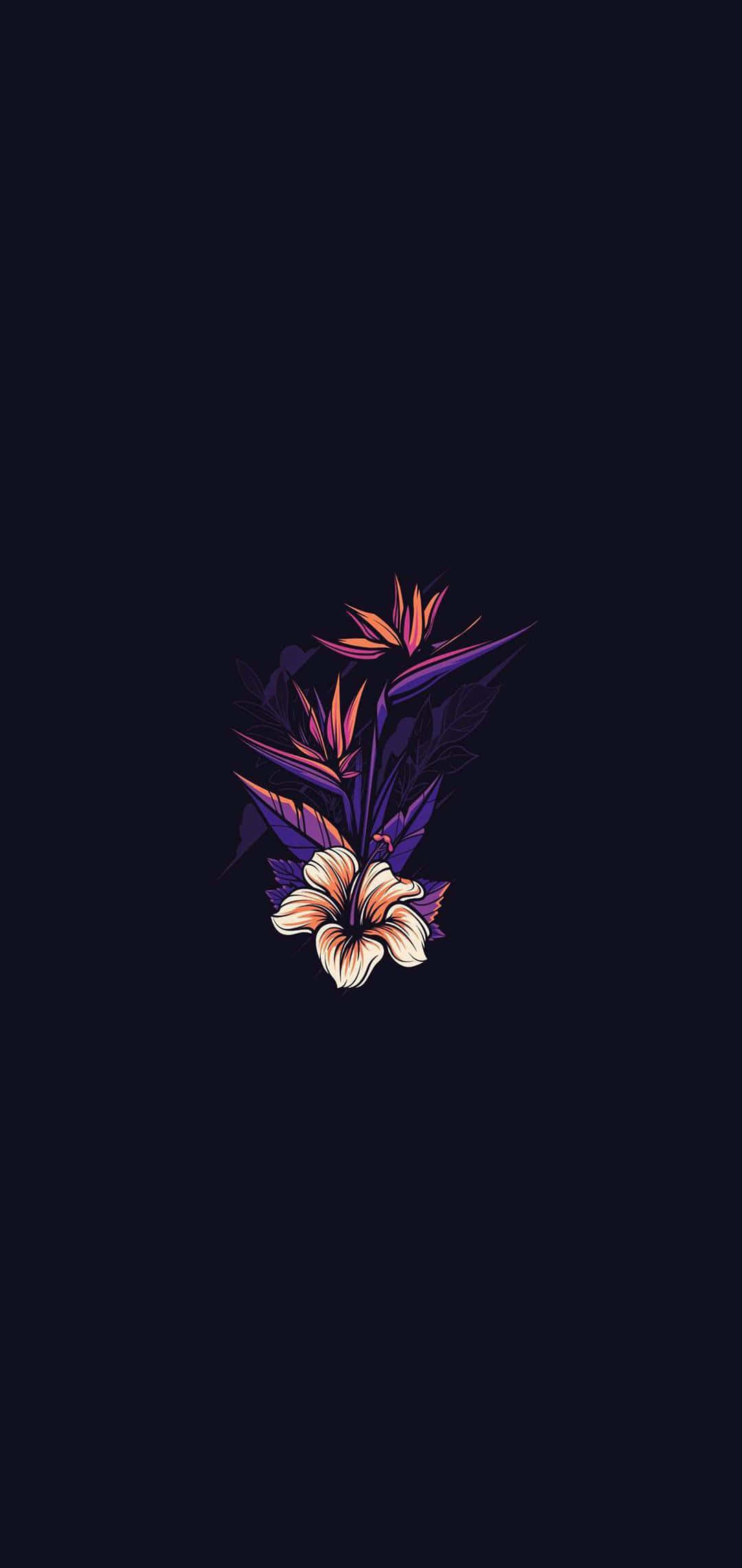 검은 배경 위에 보라색 꽃 배경화면