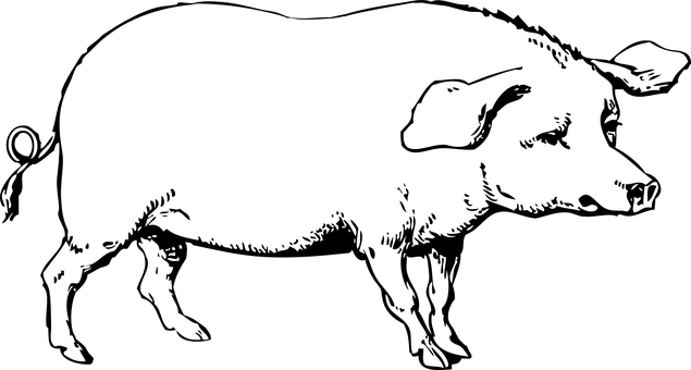 검은 배경에 검은 사각형 배경화면