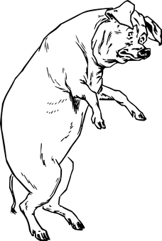 검은 배경에 검은 사각형 배경화면