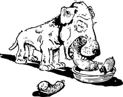 검은 화면 자리 표시자 배경화면