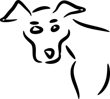 검은 화면 콘텐츠 없음 강아지 관련 배경화면